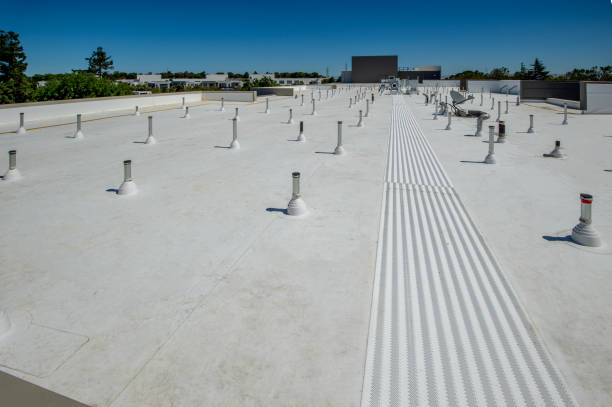Best Roof Coating and Sealing  in Lakeport, TX